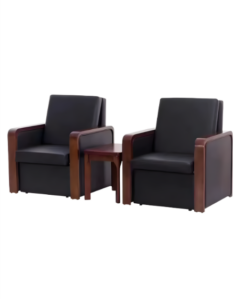 Sillón De Lujo Para Acompañante